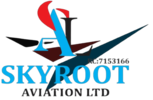 Skyroot Aviation Limited logo